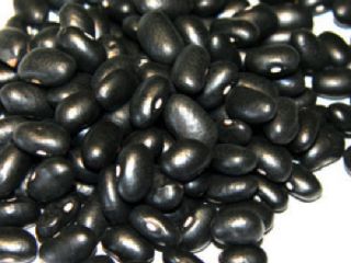 We are highly appreciated for offering quality based Black