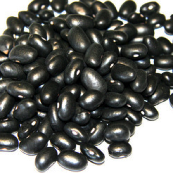 We are highly appreciated for offering quality based Black Matpe to our clients