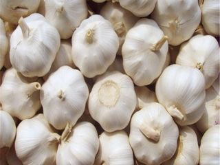 such as large size, rich succulent taste, pure spicy