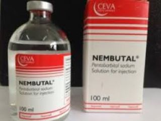 Nembutal Online Shopping, If you are looking for the