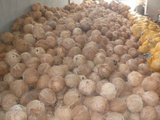our products are competitive price and good quality. hope