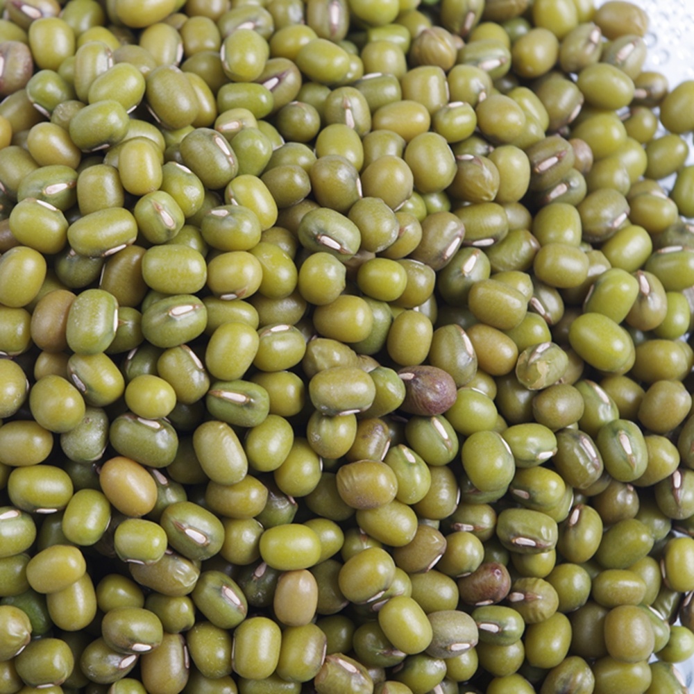Commodity Green Mung Beans For Sprouting Size 2.7mm+,3.0mm+,3.6mm+,4.0mm+ Sprouting rate 98% up Moisture 13%max ADM 0.3% max Imperfect 3% max MOQ 25t(one 20'ft