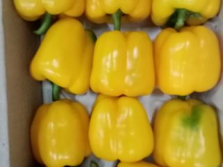 We sell pepper. Fresh.