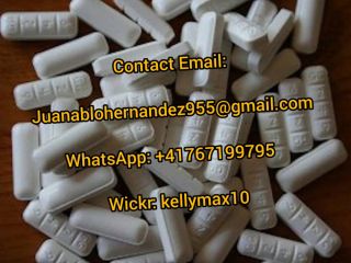Buy ketamine, nembutal, oxycodone. We offer a wide range