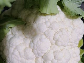 Excellent quality cauliflower from the North-Western part of Turkey.