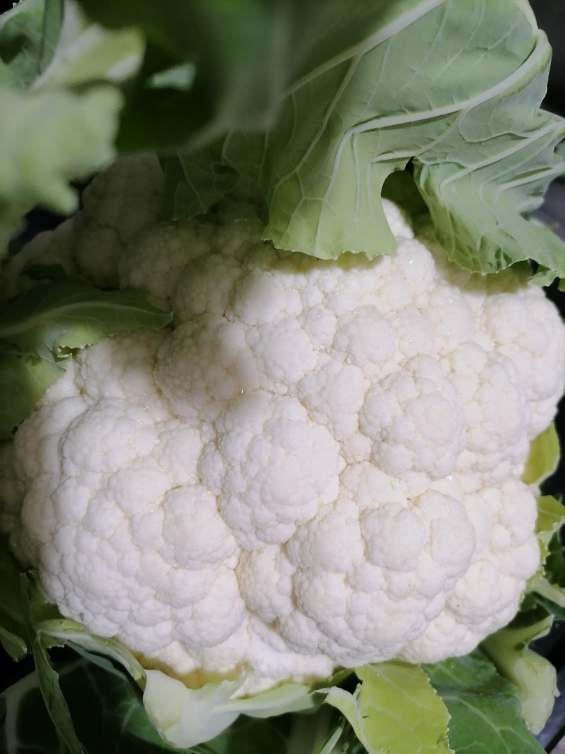 Excellent quality cauliflower from the North-Western part of Turkey