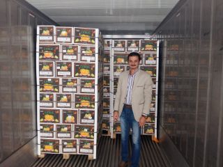 Supply Ability: 16000 Carton/Cartons per Day Packaging & Delivery