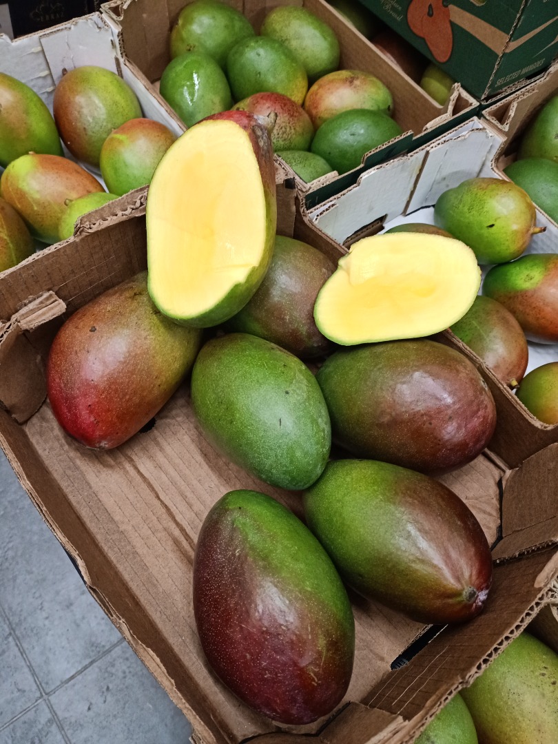 Hello, I have avocado and mango for sale, more information can be obtained by calling