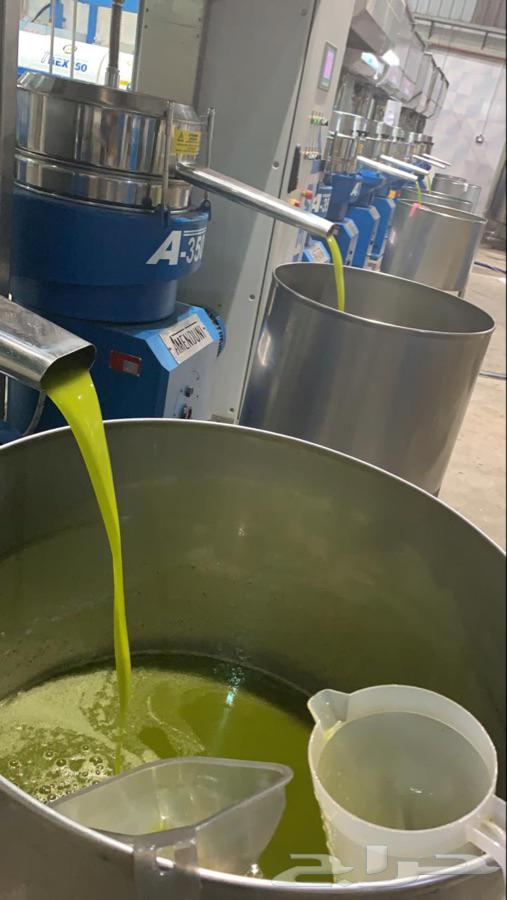 Extra virgin olive oil from Jordan valley
