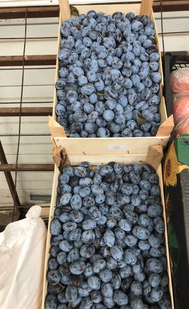 Plums Variety Stanley Se alpha in Bucharest Provenance: Republic of Moldova Plums are not very masked, but they are strong and very sweet