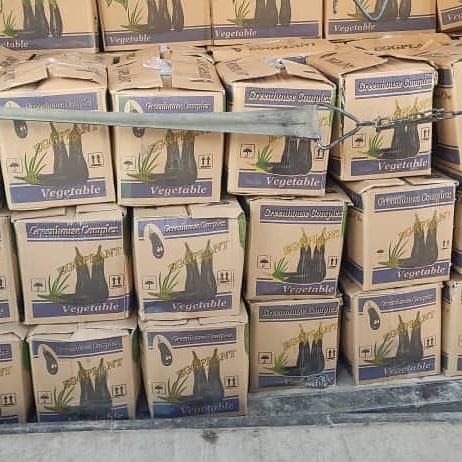 We at Aria Lotus Atlas supply premium quality fruits to the distributors and importers for retail market, and directly to foodservice industry