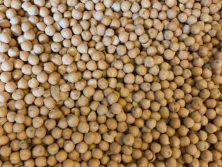 Moisture – 14 % Max, Foreign Materials – 2%,
