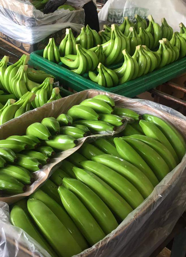 We sale bananas and different types of fruit for more inquiries contact