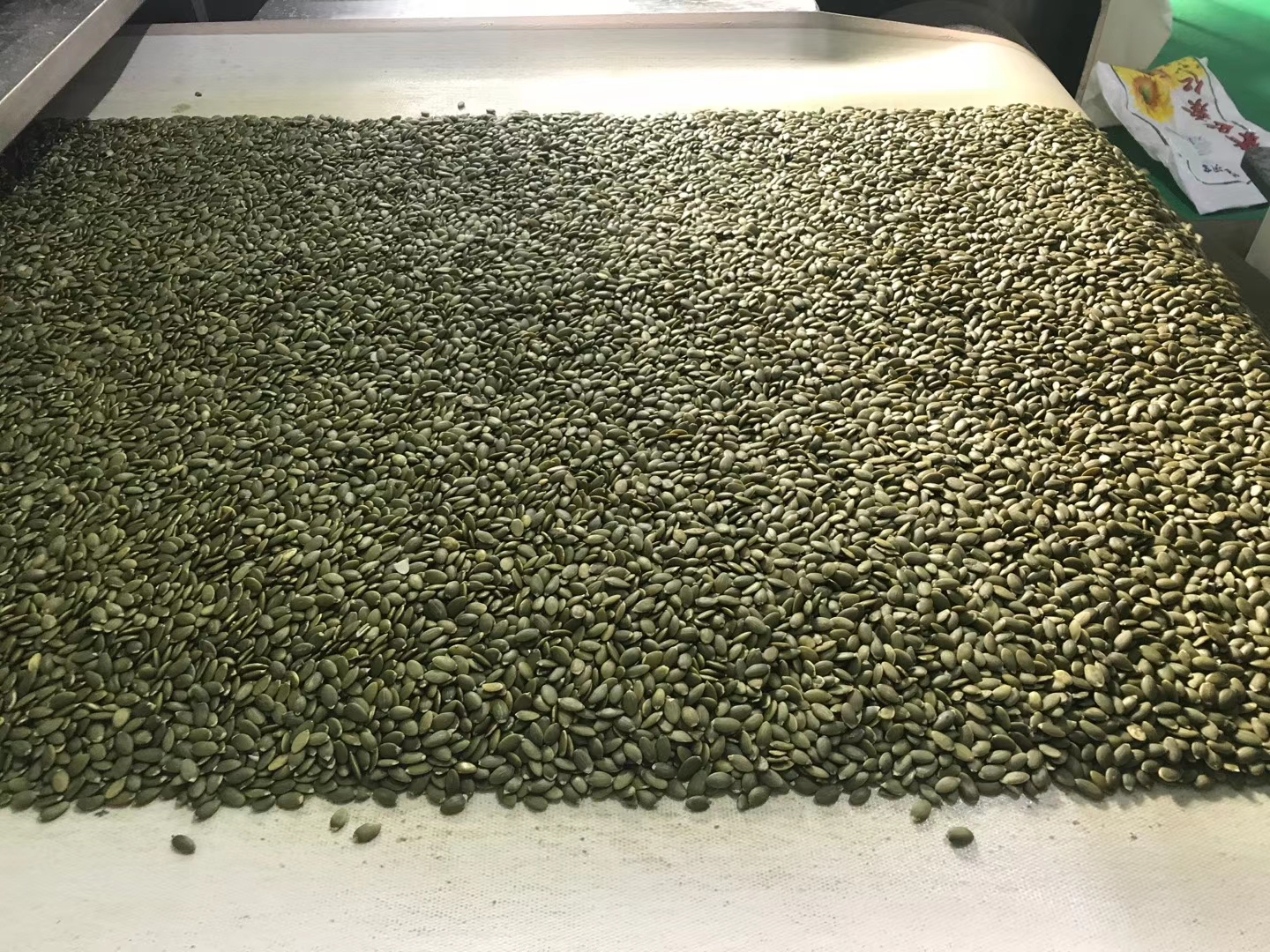 Sell pumpkin seeds kernel, origin China, payment LC 100% at sight