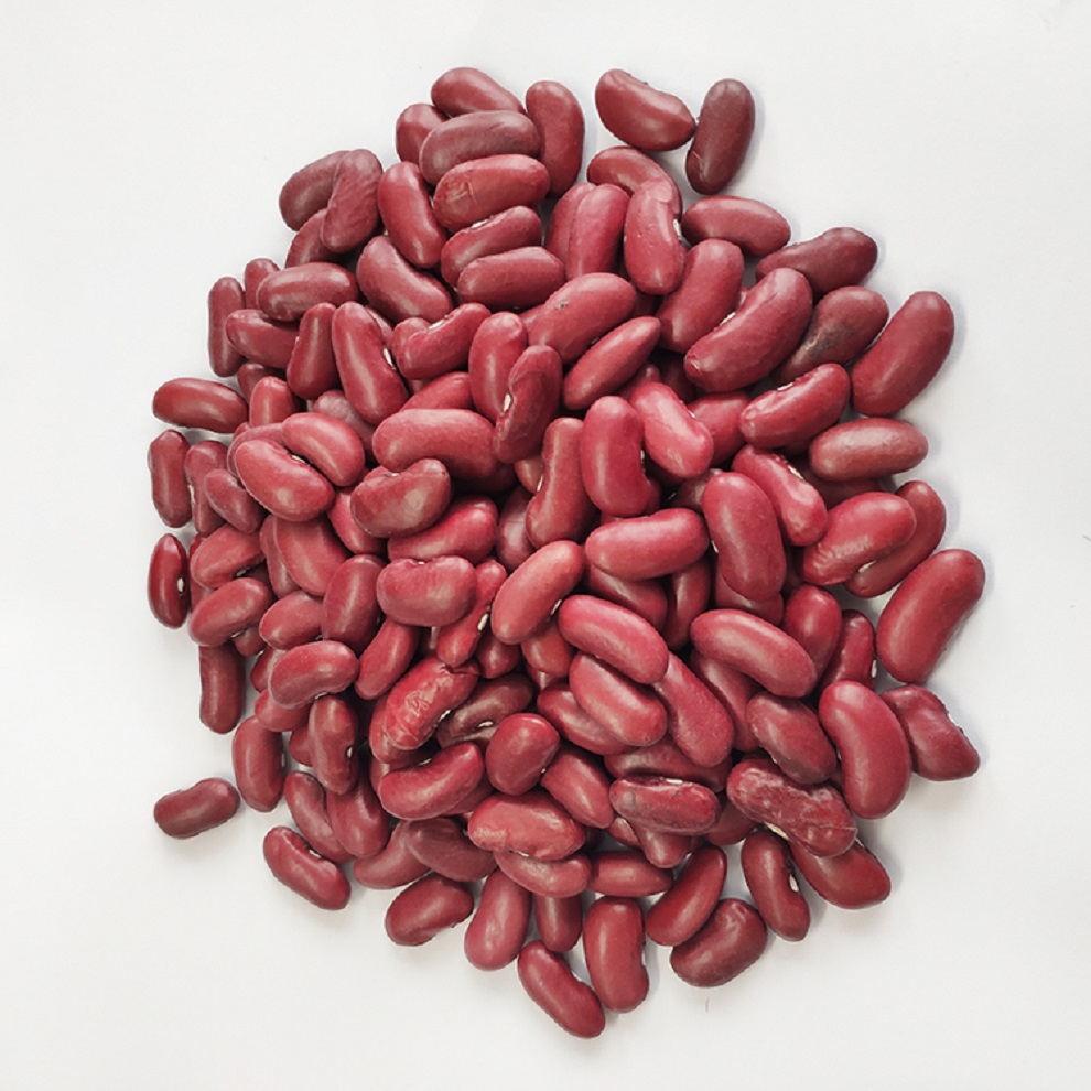 Fresh harvest green mung beans, kidney beans for export call and whatsapp us