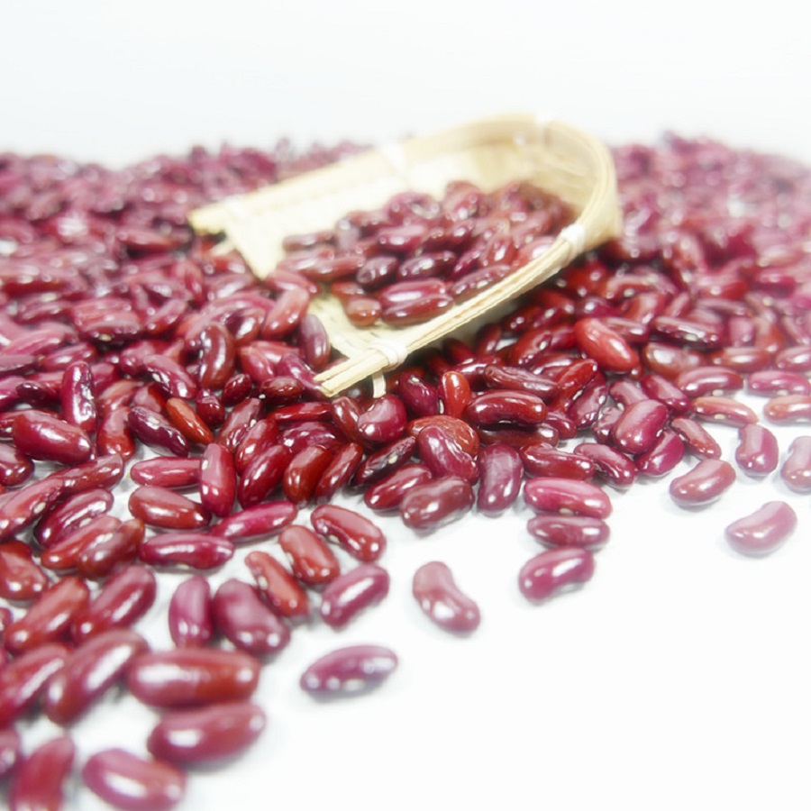 Fresh harvest green mung beans, kidney beans for export call and whatsapp us