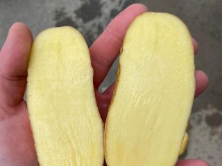 various brands and sizes of consumption and processing potatoes