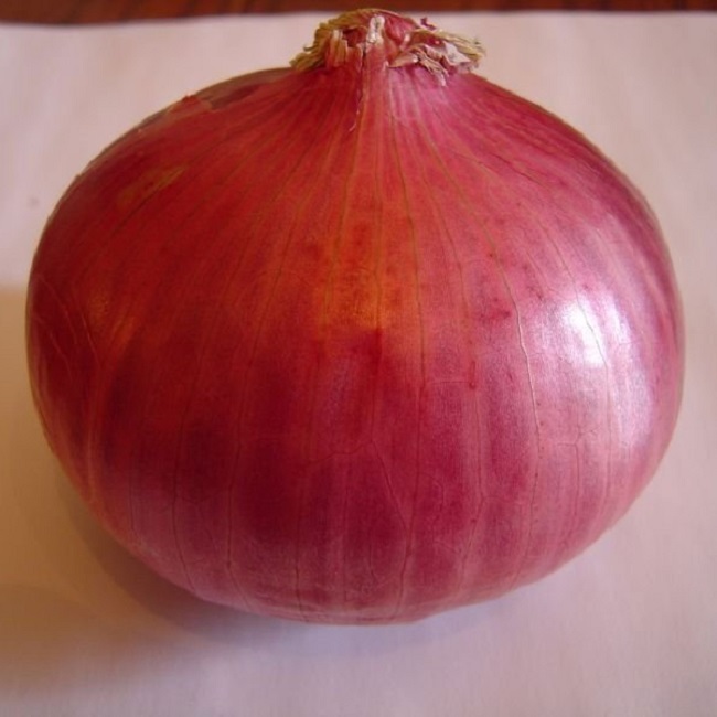 We are general import and exporters agricultural product