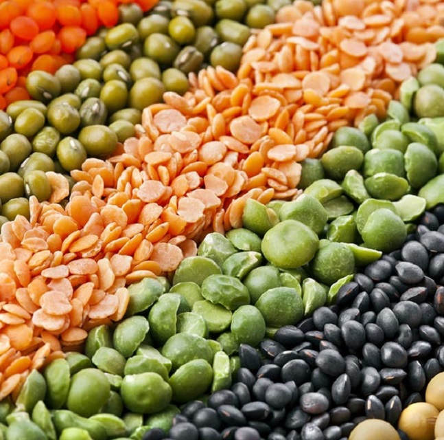 Name : Green and Red lentils Variety :Green and Red lentils Specification: Moisture ≤14% Impurity ≤0.5% Imperfect ≤2% Size 3.0-5.0mm Purity : 99.5% by weight