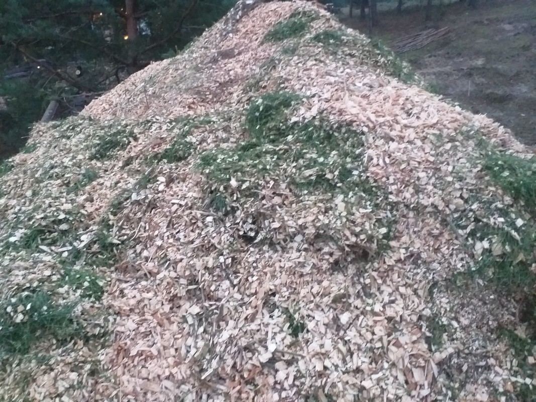 Forest chips for blueberry with delivery