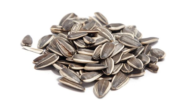 Sunflower seeds are a nutrient-dense healthy snack, a traditional snacks and a treat for birds, with delicious nutty flavor, it's a high quality baking