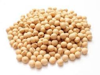 Ukraine has cultivated soybeans since ancient times. Soybean has