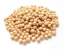 Ukraine has cultivated soybeans since ancient times