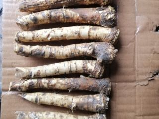 I offer fresh, chilled, frozen, washed (not washed) horseradish