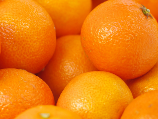 Hello, I am selling oranges, high quality in the