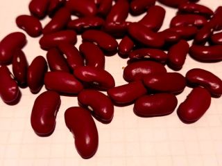 Selling beans, American variety, grown in Ukraine, from the