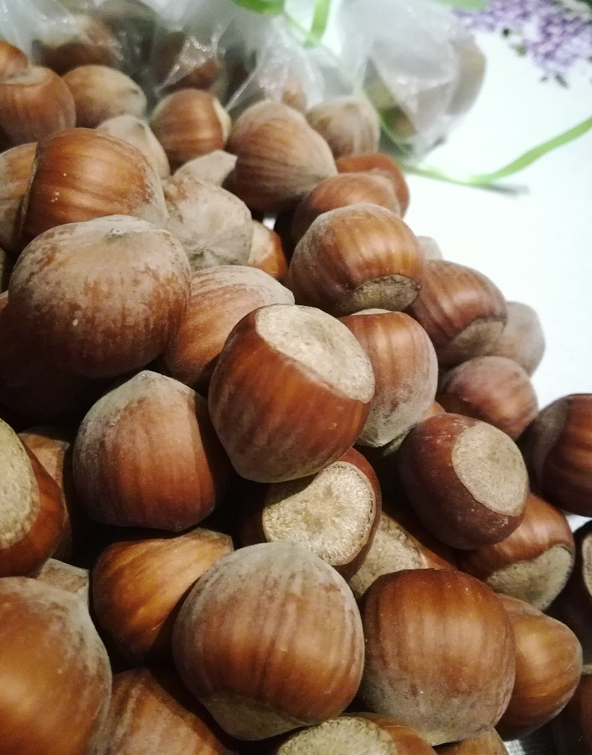I will sell Catalan hazelnuts from a young plantation