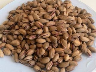 Pistacja