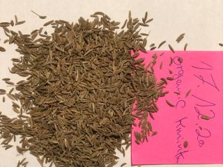 We have for sale Organic certified Caraway seeds grade