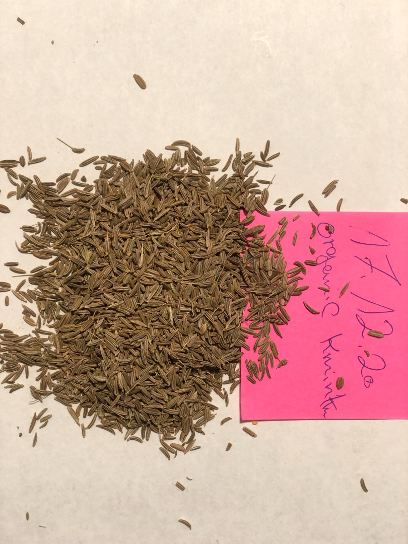 We have for sale Organic certified Caraway seeds grade A Also we offer Organic Fenugreek Organic Marjoram Organic Hibiscus Organic chamomile flowers/TBC Goods