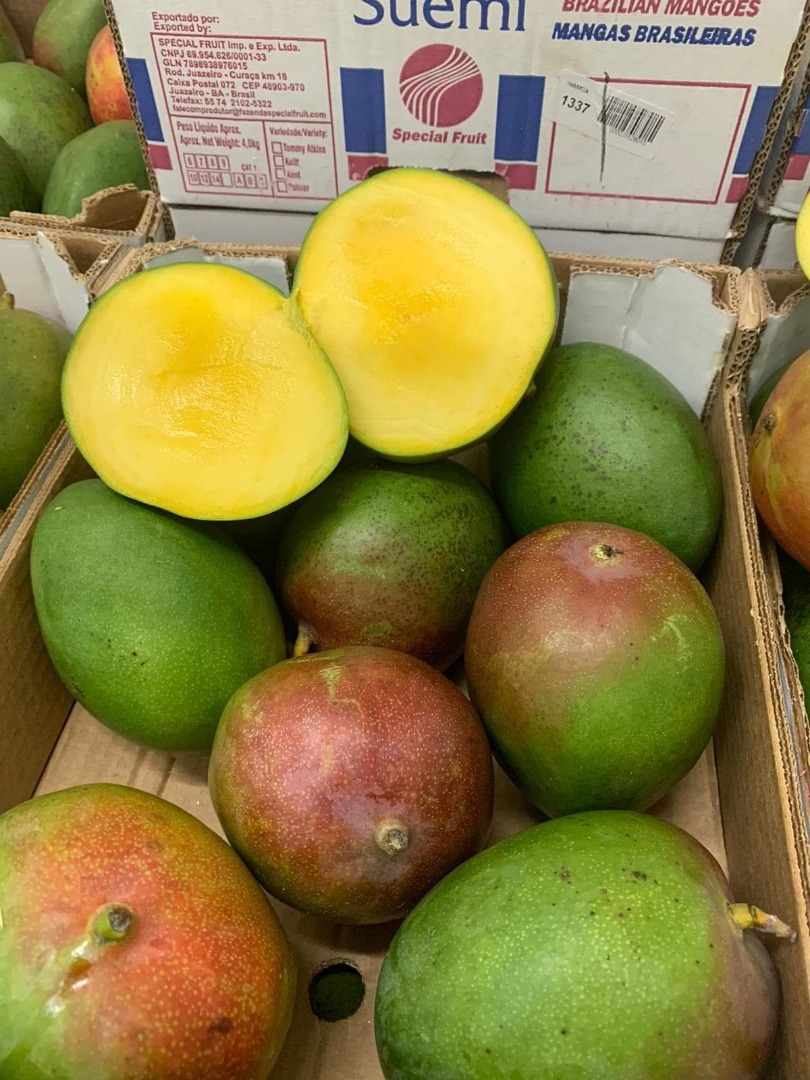 Hello, I have a second class mango for sale by the Brazilian company Suemi and AgroDan