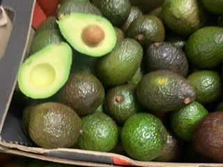 Hello, I have Avocado Hass for sale in bulk.
