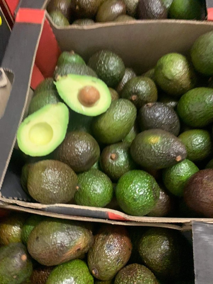 Hello, I have Avocado Hass for sale in bulk