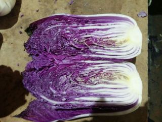 The Ukrainian company "Accent-Town" offers Beijing white and purple