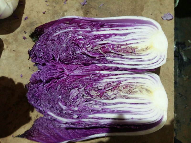 The Ukrainian company "Accent-Town" offers Beijing white and purple cabbage