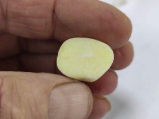 The Ukrainian company "Accent-Town" brings to your attention garlic.