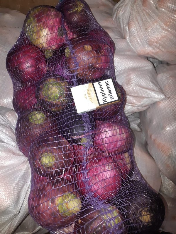 The Ukrainian company "Accent-Town" brings to your attention a red radish