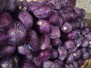 The Ukrainian company Akcent-Miasto draws attention to red cabbage.