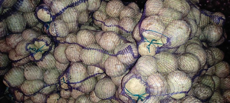 The Ukrainian company "Accent-Town" offers you a polished celery root