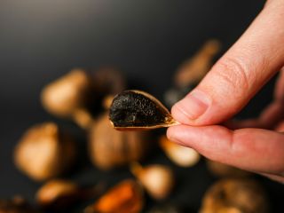 We sell retail and wholesale black garlic (fermented) from