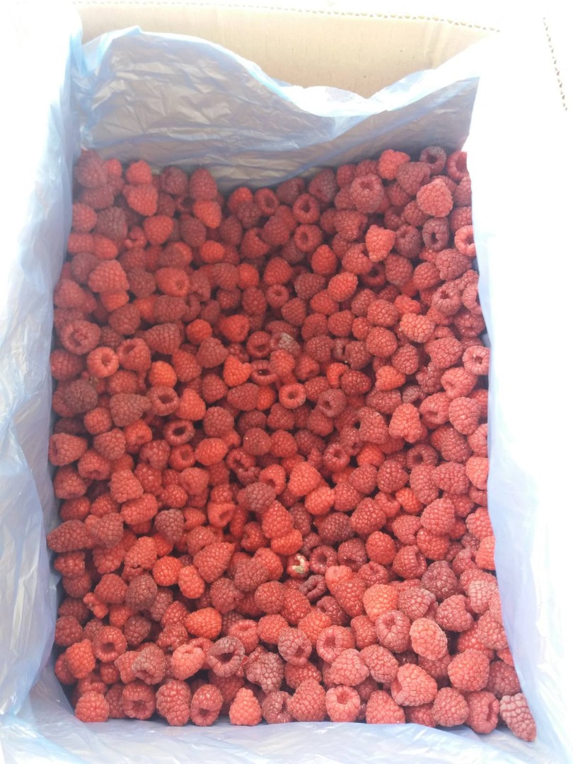 Frozen raspberry 80/20 (rolend), packaging 12kg