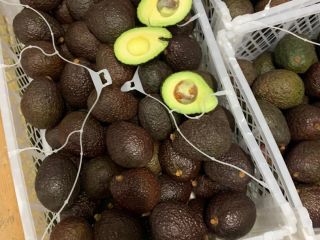 Hello, I have Avocado Hass for sale in bulk.