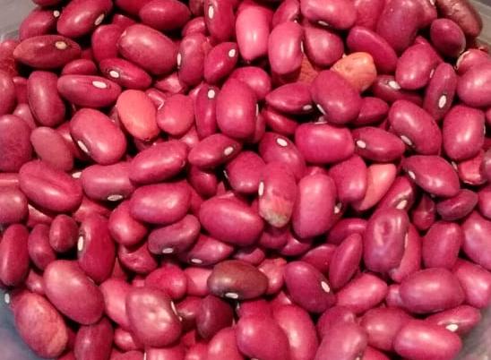 We offer beans grown in the fields of the Talas Valley (Kyrgyzstan), which are considered by agricultural experts to be the perfect place to grow organic beans