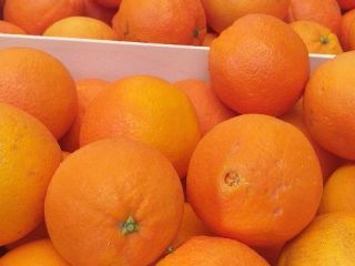 I will sell oranges navelina 22 t price per