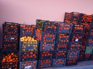 Greece oranges, 100% BIO Recently brought from Greece.