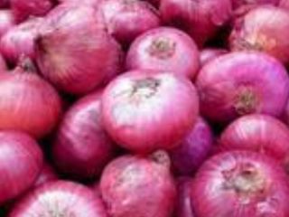 A Grade Red Onion, Packaging Size: 50 Kg, Onion